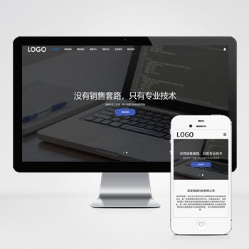 (自适应手机端)网站建设网络科技类模板 SEO优化网络建站公司网站